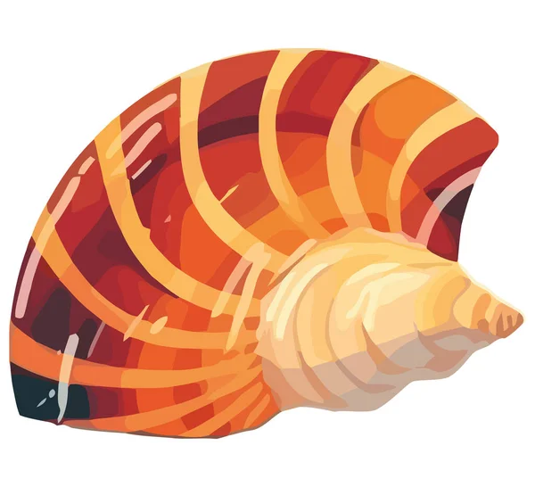 白の上の貝殻のデザインベクトル — ストックベクタ