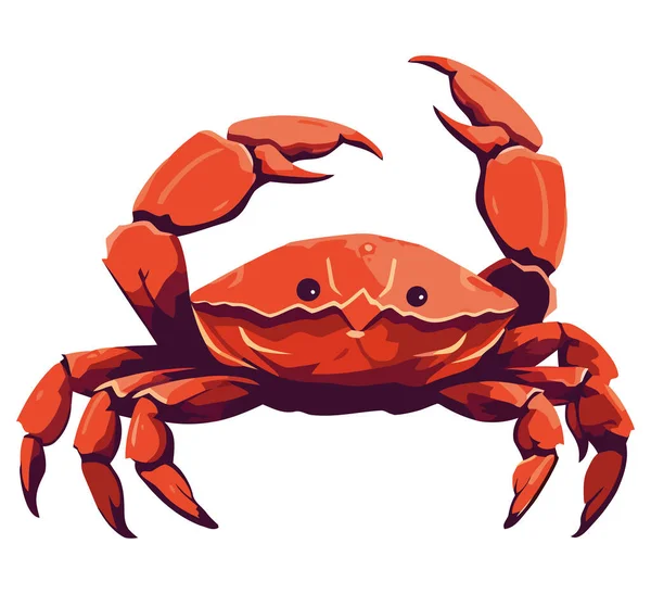 Roter Krabbenvektor Über Weißem — Stockvektor