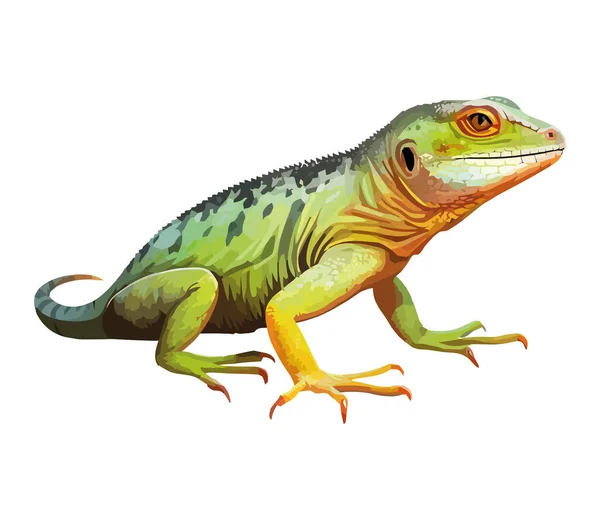 Grön Gecko Gren Tropisk Regnskog Över Vit — Stock vektor
