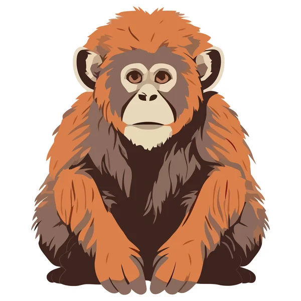 Macaco Bebé Bonito Sentado Floresta Tropical Sobre Branco —  Vetores de Stock