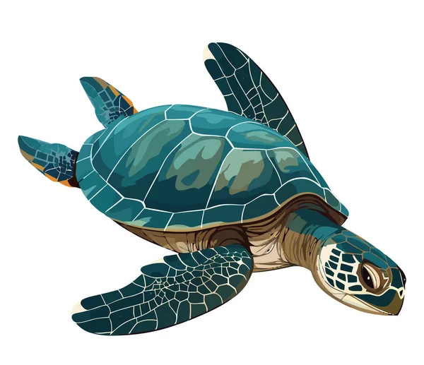 Slow Turtle Crawls Blue Underwater World White — Stock Vector