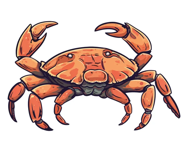 Red Crab Illustration White — Stock Vector