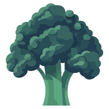 Beyaz üzerine yeşil brokoli tasarımı