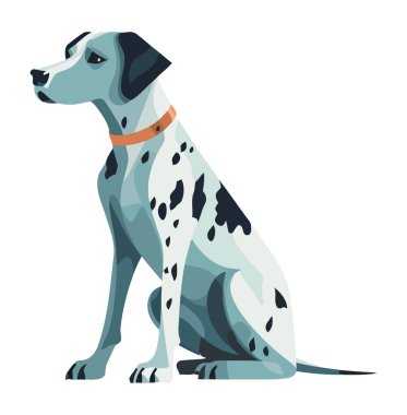 Beyazların üzerinde oturan safkan köpek.