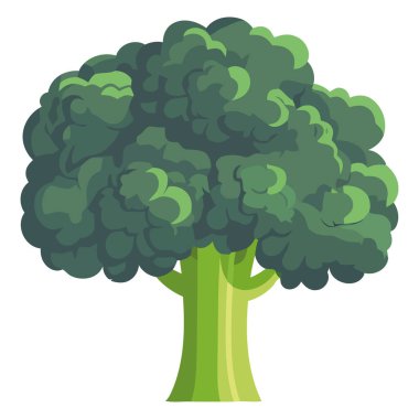 Beyaz yerine yeşil brokoli çizimi