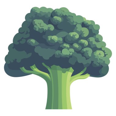 Beyaz yerine yeşil brokoli tasarımı çizimi