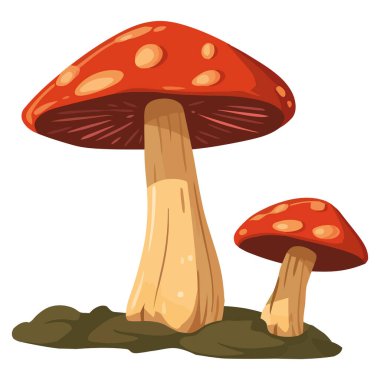 Benekli mantar şapkası beyazın üzerinde