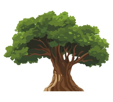 Beyaz üzerine doğal büyük ağaç vektörü