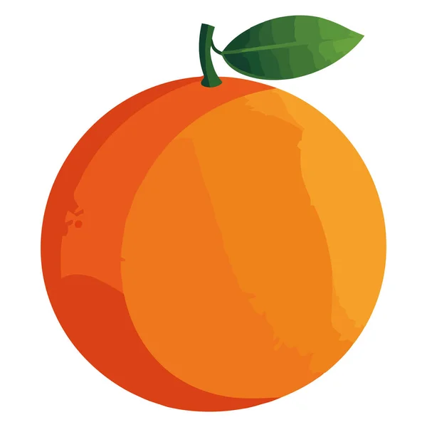 Diseño Naranja Orgánica Fresca Sobre Blanco — Vector de stock