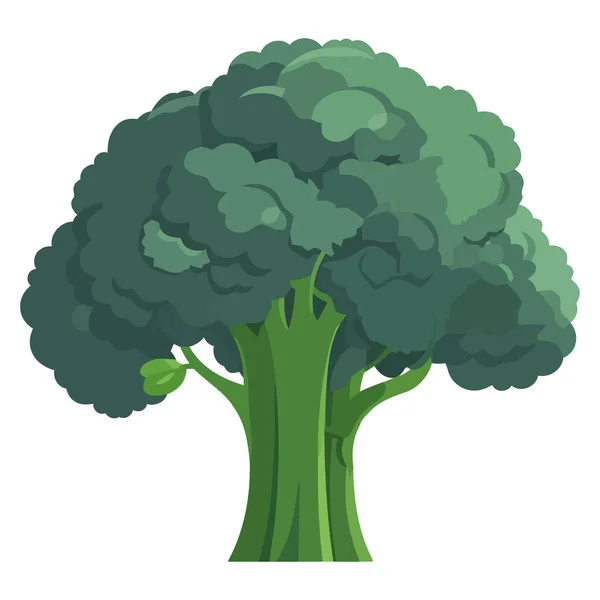 Vektor Desain Brokoli Hijau Atas Putih - Stok Vektor
