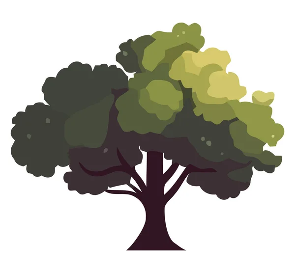 Natur Großer Baum Illustration Vektor Über Weiß — Stockvektor