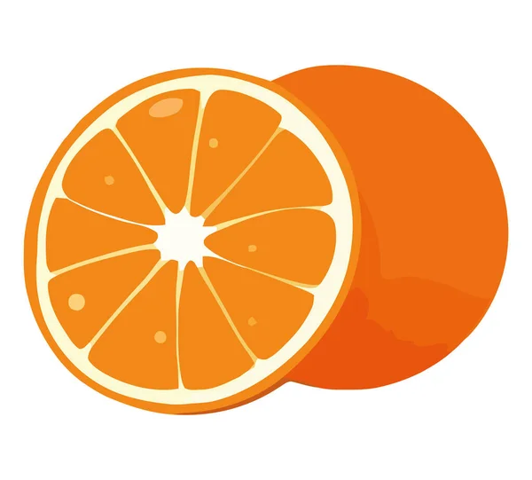 白色上的多汁橙片设计 — 图库矢量图片