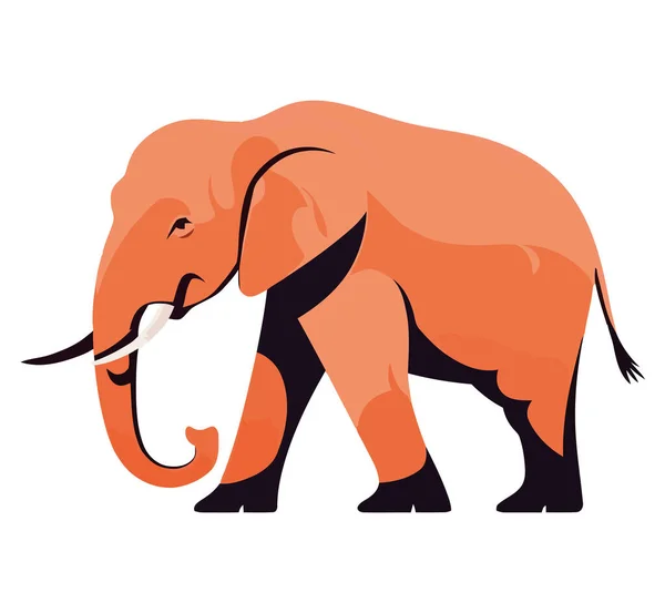 Roztomilý Slon Kráčí Přes Bílou — Stockový vektor