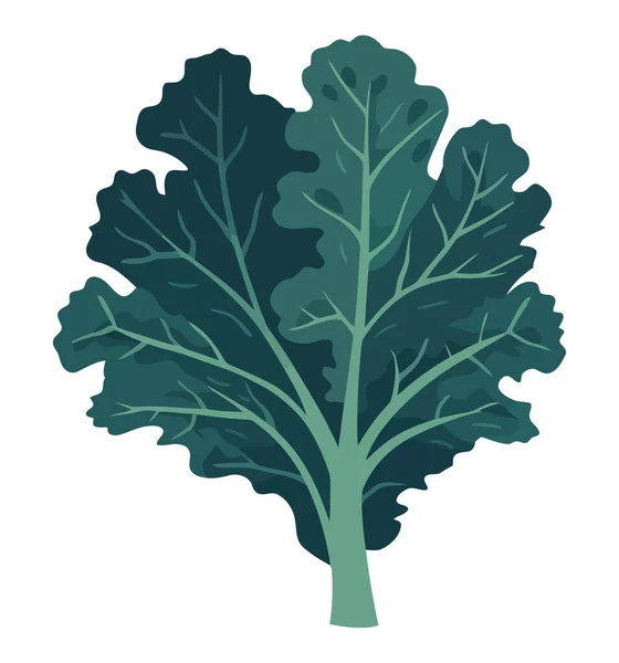 Свежие Травы Украшают Изысканные Вегетарианские Блюда Белом — стоковый вектор
