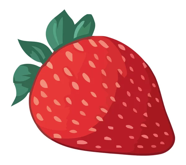 Juicy Strawberry Illustration White — Stock Vector