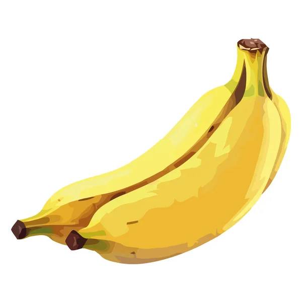 Ώριμη Μπανάνα Σχεδιαστική Απεικόνιση Πάνω Από Λευκό — Διανυσματικό Αρχείο