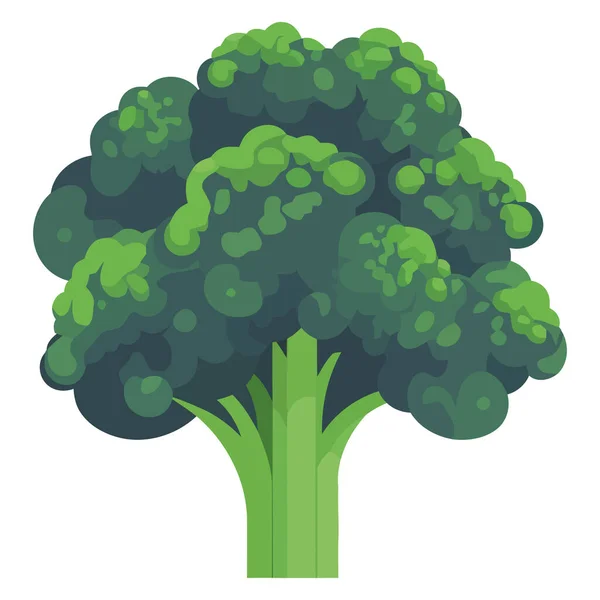 Brokoli Hijau Vektor Desain Atas Putih - Stok Vektor