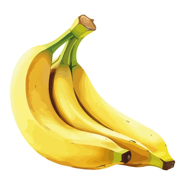 Ilustração Bananas Maduras Sobre Branco — Vetor de Stock