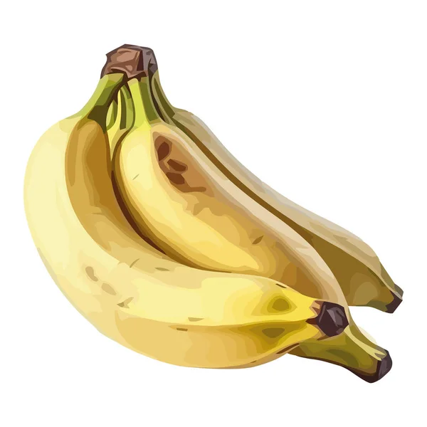 Bananas Maduras Vetor Ilustração Sobre Branco — Vetor de Stock
