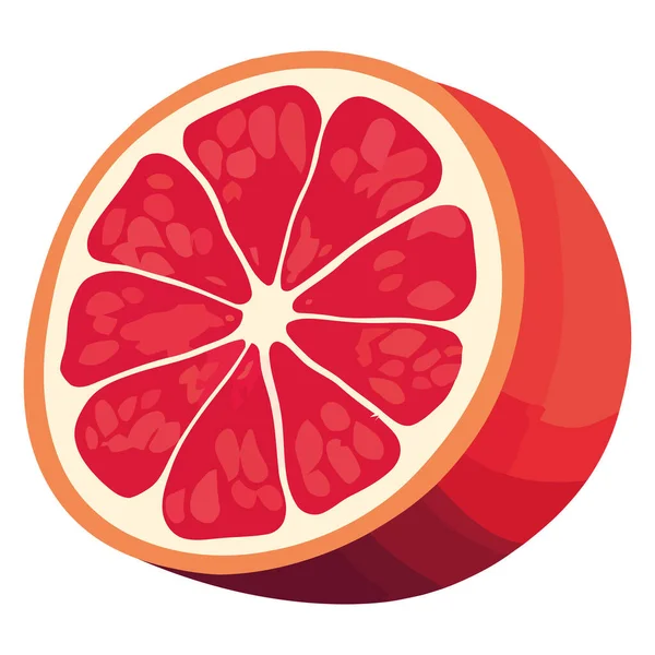 Saftige Grapefruitscheibe Über Weiß — Stockvektor