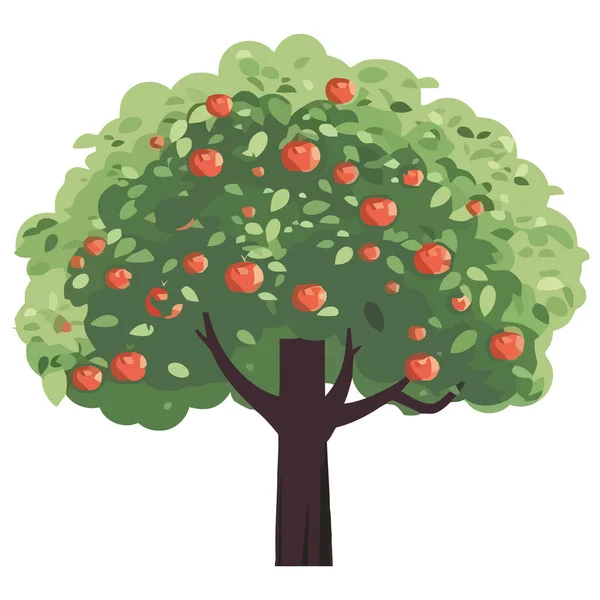 リンゴの木のデザインを — ストックベクタ