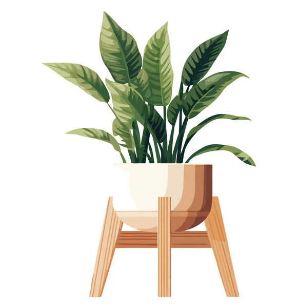 Plante Verte Sur Table Apporte Nature Intérieur Sur Blanc — Image vectorielle