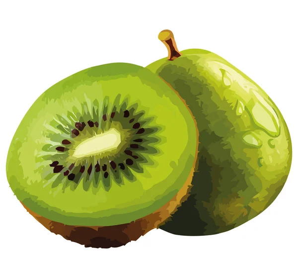 Fatia Fruta Madura Kiwi Sobre Branco — Vetor de Stock