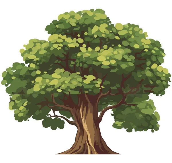 Natureza Grande Árvore Vetor Ilustração Sobre Branco — Vetor de Stock