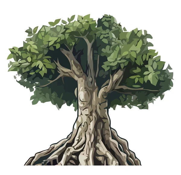 Příroda Velký Strom Design Nad Bílou — Stockový vektor