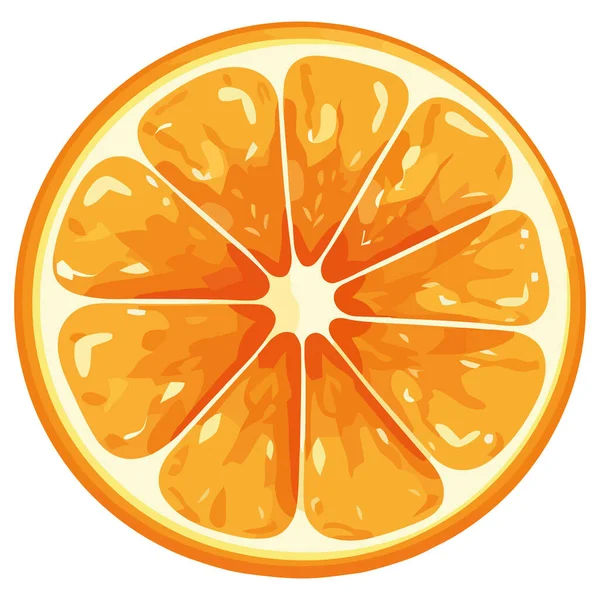 Diseño Rodajas Naranja Orgánica Sobre Blanco — Vector de stock