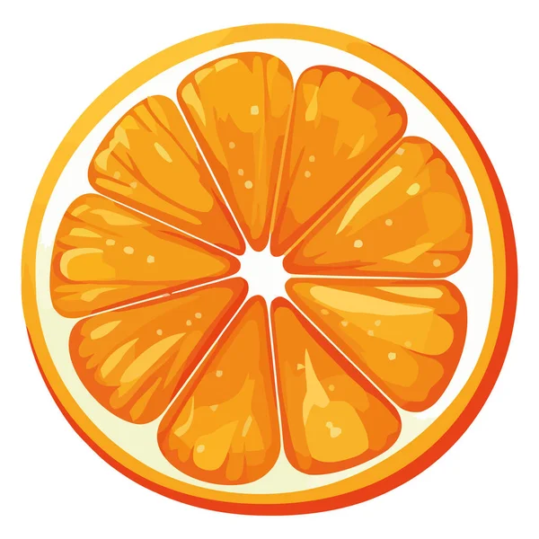 Oranye Organik Bagian Atas Putih - Stok Vektor