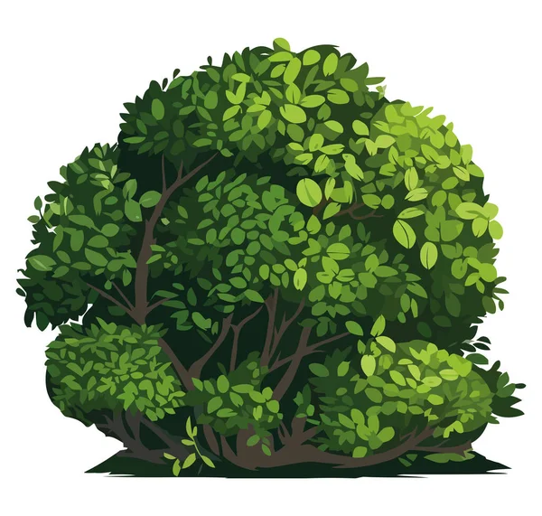 Projeto Arbusto Verde Sobre Branco — Vetor de Stock