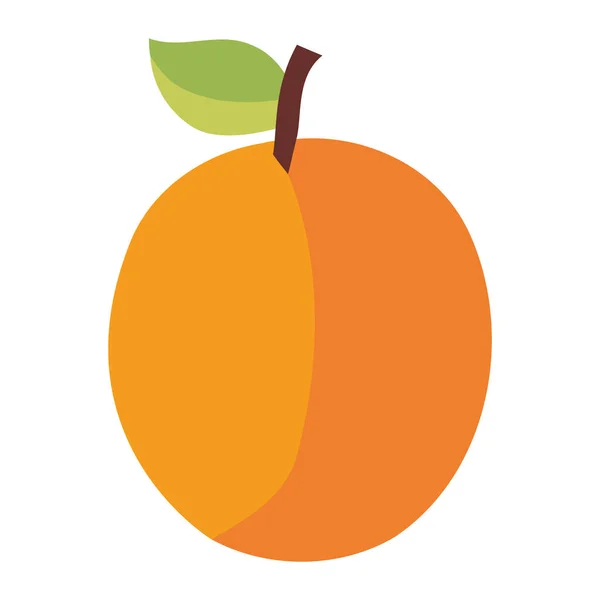 Arancio Biologico Fresco Bianco — Vettoriale Stock