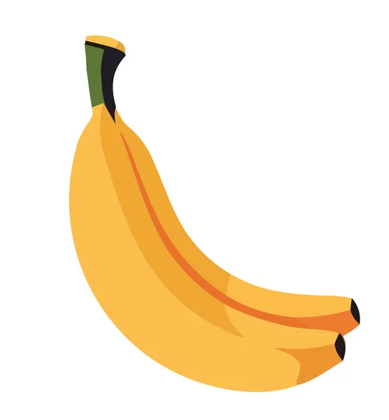 白の上に新鮮な有機バナナ — ストックベクタ