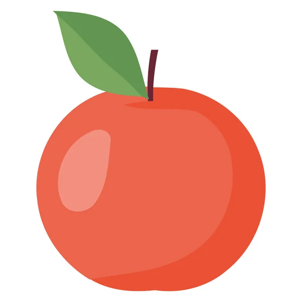 多汁的红苹果盖在白苹果上 — 图库矢量图片