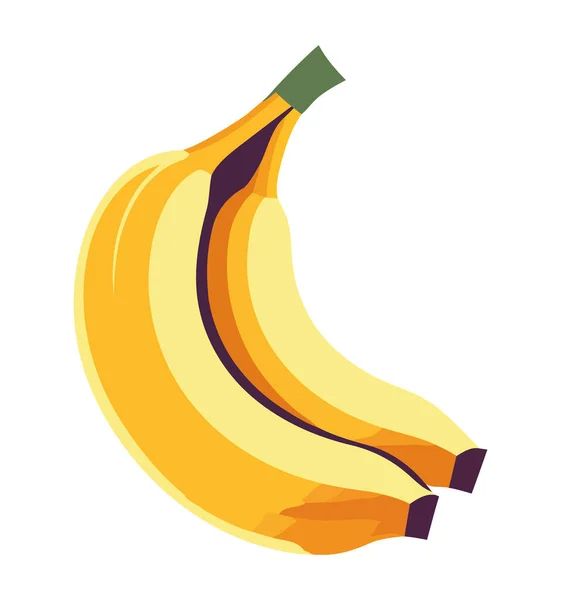 Design Bananas Maduras Sobre Branco — Vetor de Stock