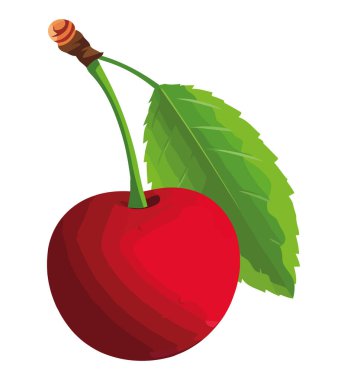 Olgun kiraz meyvesi beyaz üzerine