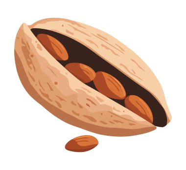 Beyaz yerine taze organik fındık tasarımı