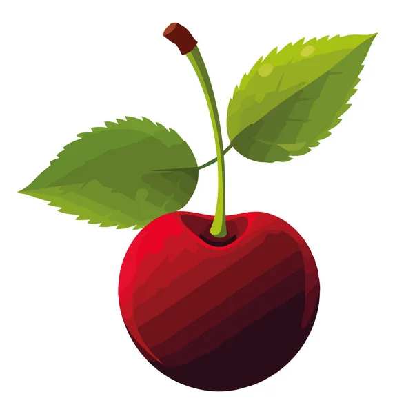 Cherry Fruit Design White — Vettoriale Stock