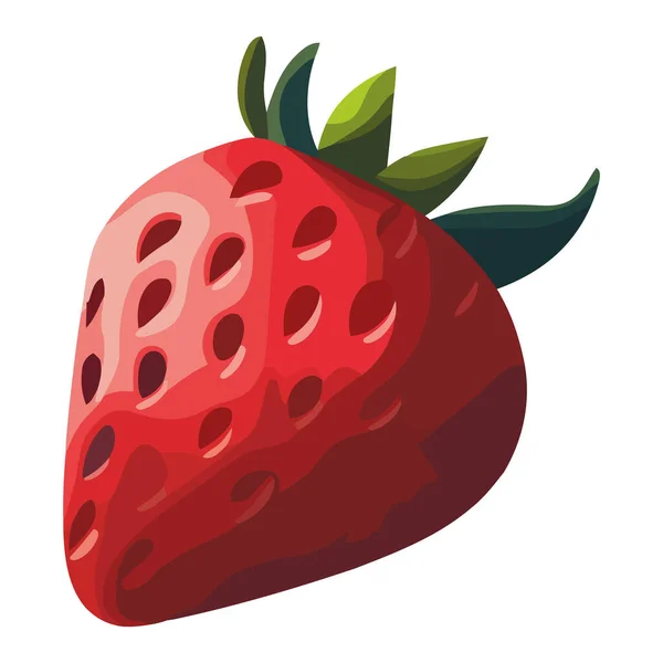 多汁的成熟草莓图片说明载体在白色之上 — 图库矢量图片