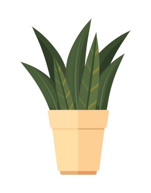 Beyaz yerine yeşil bitki tasarımı