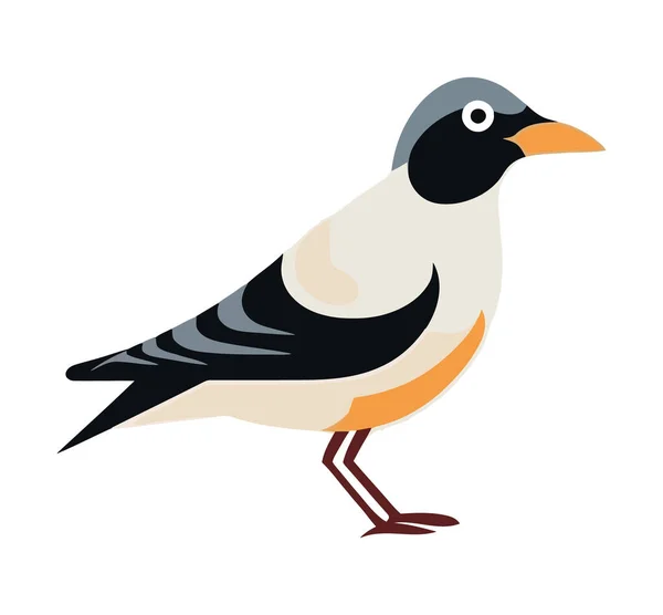 Roztomilý Pták Design Nad Bílou — Stockový vektor