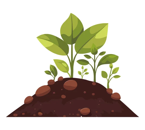Crescimento Plantas Orgânicas Sobre Branco —  Vetores de Stock