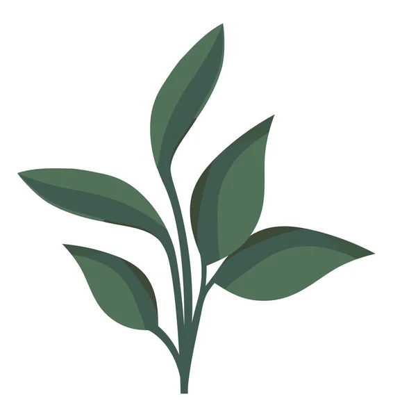 Νωπά Πράσινα Φύλλα Πάνω Από Λευκό — Διανυσματικό Αρχείο