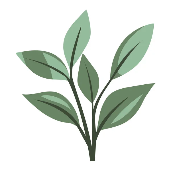 白色以上の有機植物の成長 — ストックベクタ
