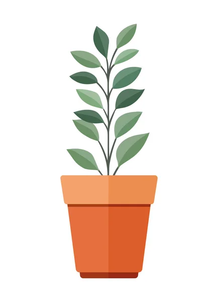 Croissance Des Plantes Pot Sur Blanc — Image vectorielle