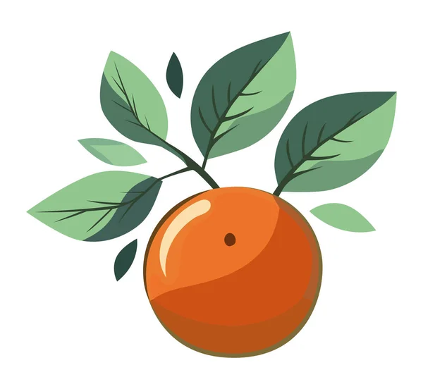 Design Orange Mûr Avec Feuilles Sur Blanc — Image vectorielle