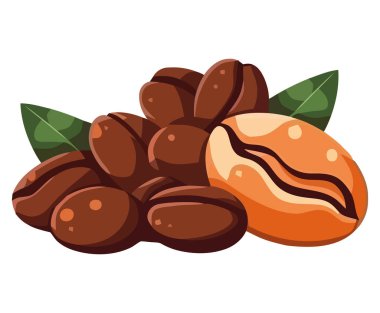 Beyaz üzerine organik kahve çekirdekleri.
