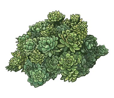 Beyaz üzerine taze kasımpatı buketi.