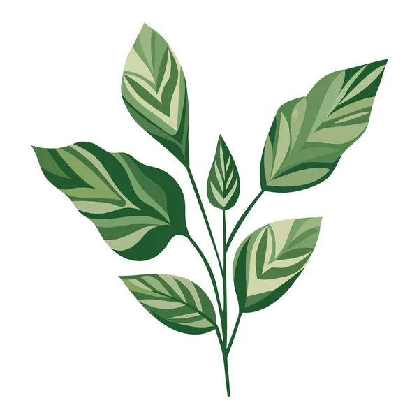 Green Plant Illustration White — 图库矢量图片